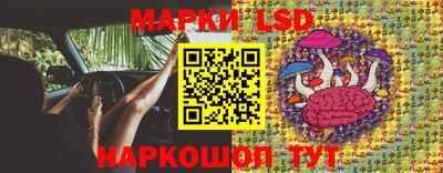 мдпв Донской