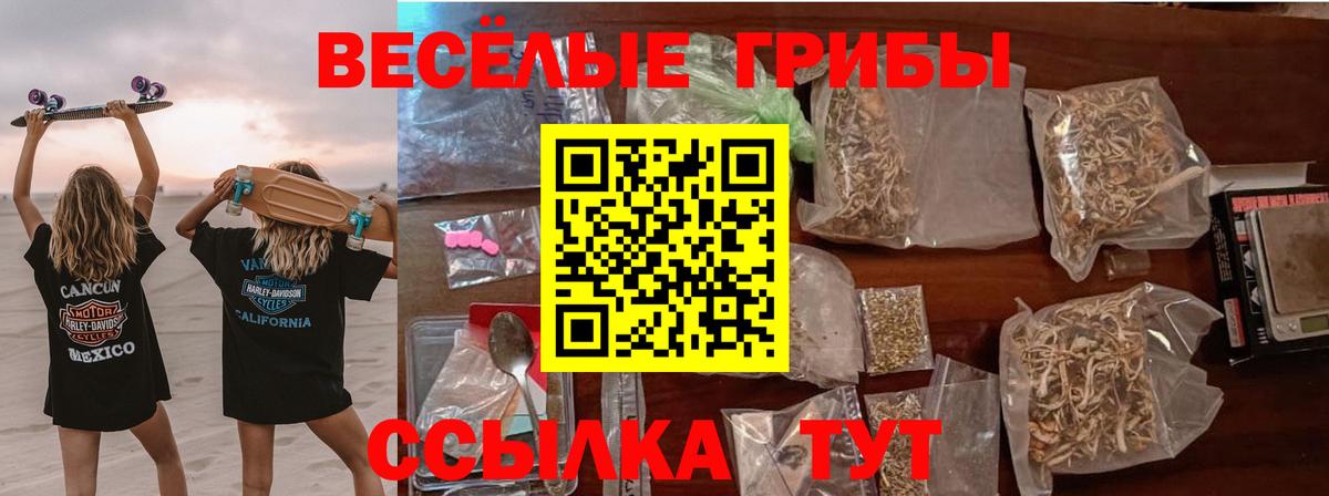 Псилоцибиновые грибы прущие грибы  купить закладку  Вход с VPN  Ханты-Мансийск  Галлюциногенные грибы Psilocybine cubensis 